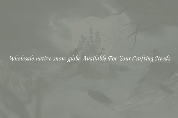 Wholesale native snow globe Available For Your Crafting Needs