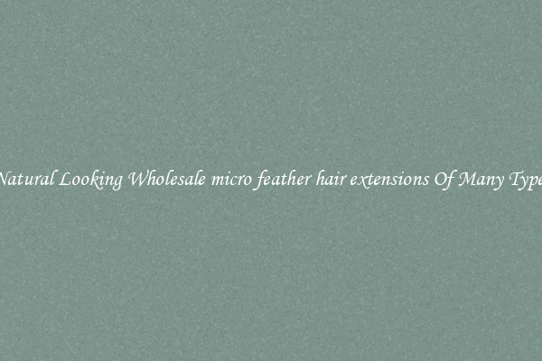 Natural Looking Wholesale micro feather hair extensions Of Many Types