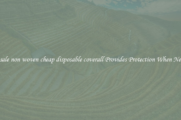 Wholesale non woven cheap disposable coverall Provides Protection When Necessary