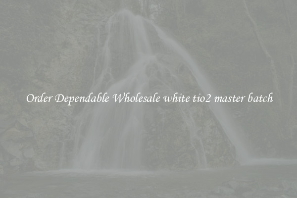 Order Dependable Wholesale white tio2 master batch
