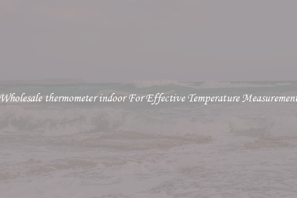 Wholesale thermometer indoor For Effective Temperature Measurement
