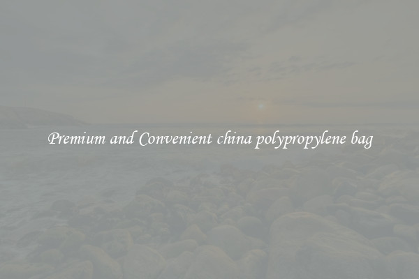 Premium and Convenient china polypropylene bag