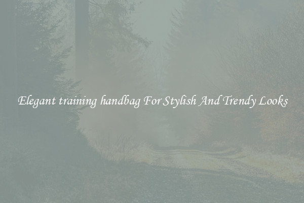 Elegant training handbag For Stylish And Trendy Looks