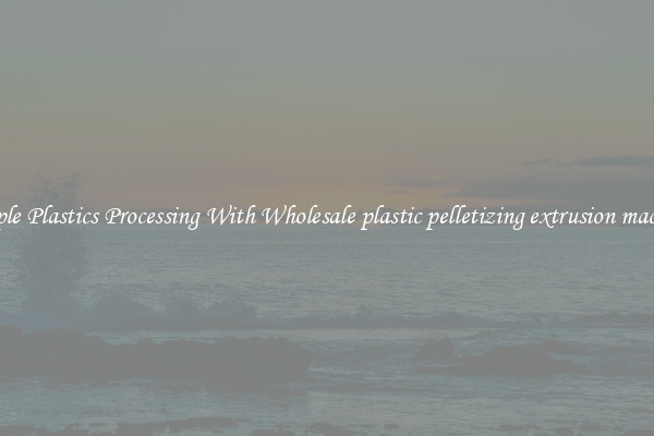 Simple Plastics Processing With Wholesale plastic pelletizing extrusion machine