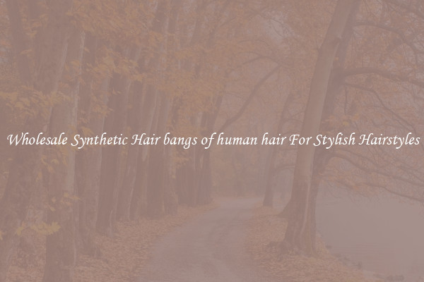 Wholesale Synthetic Hair bangs of human hair For Stylish Hairstyles