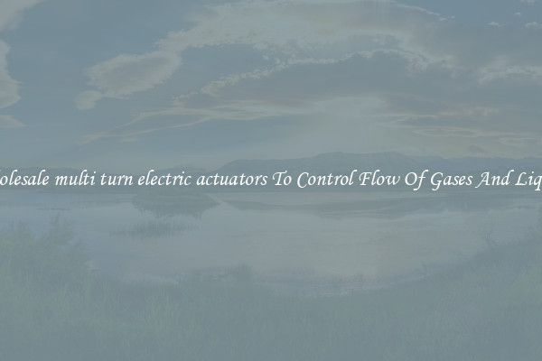 Wholesale multi turn electric actuators To Control Flow Of Gases And Liquids