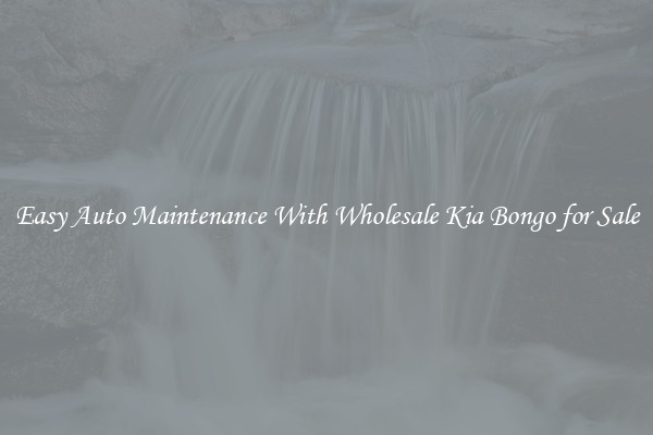 Easy Auto Maintenance With Wholesale Kia Bongo for Sale