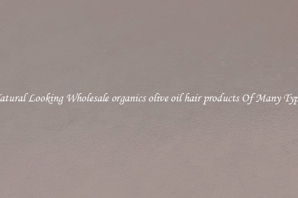 Natural Looking Wholesale organics olive oil hair products Of Many Types