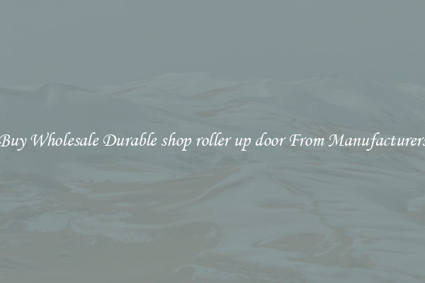 Buy Wholesale Durable shop roller up door From Manufacturers