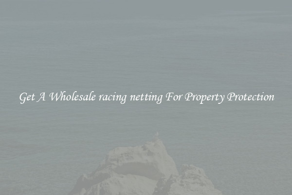 Get A Wholesale racing netting For Property Protection