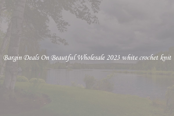 Bargin Deals On Beautful Wholesale 2023 white crochet knit