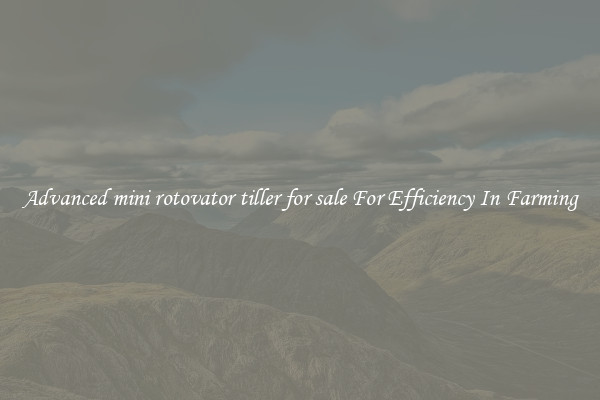 Advanced mini rotovator tiller for sale For Efficiency In Farming