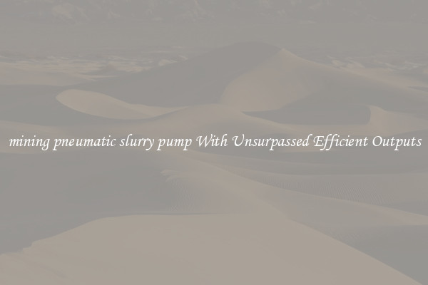 mining pneumatic slurry pump With Unsurpassed Efficient Outputs