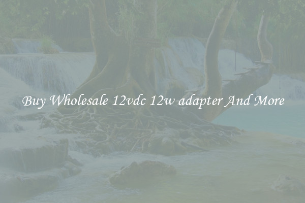 Buy Wholesale 12vdc 12w adapter And More