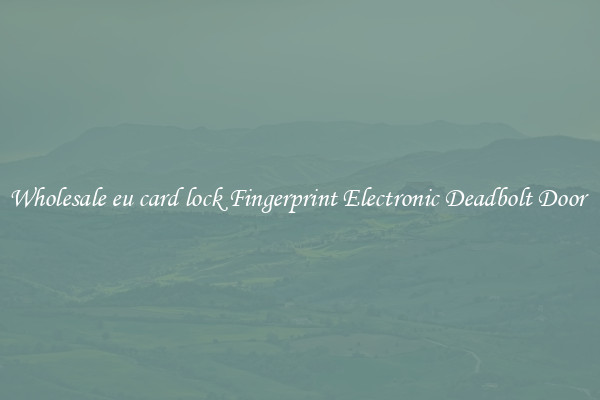 Wholesale eu card lock Fingerprint Electronic Deadbolt Door 