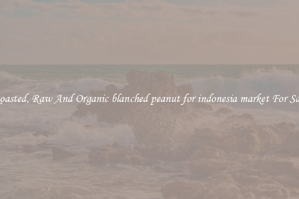 Roasted, Raw And Organic blanched peanut for indonesia market For Sale