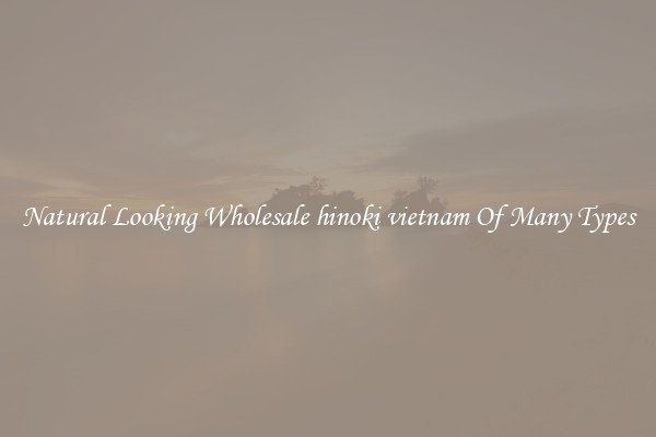 Natural Looking Wholesale hinoki vietnam Of Many Types