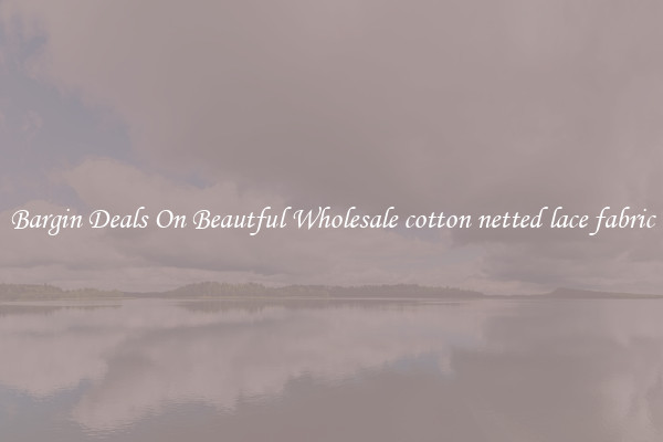Bargin Deals On Beautful Wholesale cotton netted lace fabric