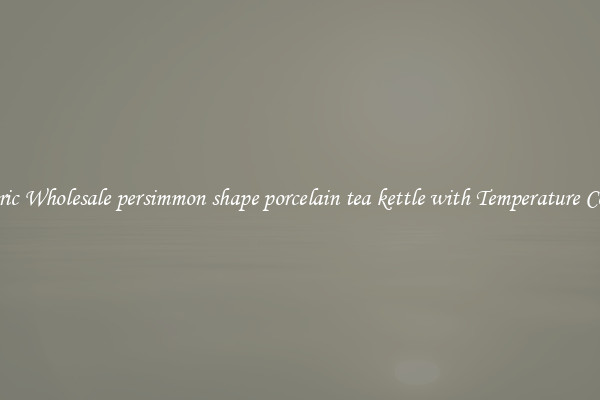 Electric Wholesale persimmon shape porcelain tea kettle with Temperature Control