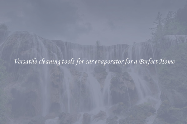 Versatile cleaning tools for car evaporator for a Perfect Home