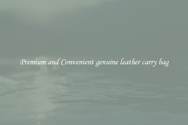 Premium and Convenient genuine leather carry bag