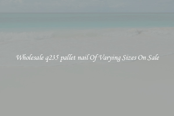 Wholesale q235 pallet nail Of Varying Sizes On Sale