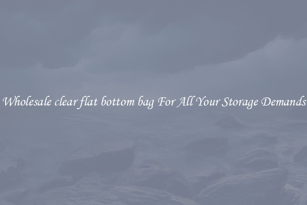 Wholesale clear flat bottom bag For All Your Storage Demands