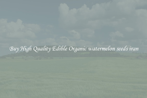 Buy High Quality Edible Organic watermelon seeds iran