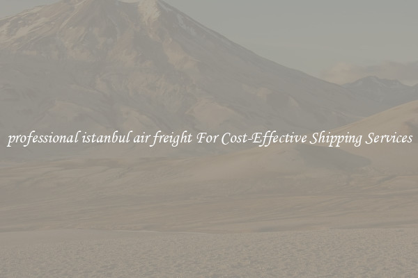 professional istanbul air freight For Cost-Effective Shipping Services